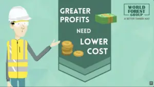 Does Freezing Affect Eucalyptus Timber Mats?